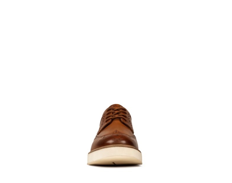 Clarks Ernest Limit Brogues Brown Men - India A3Q3808-C9