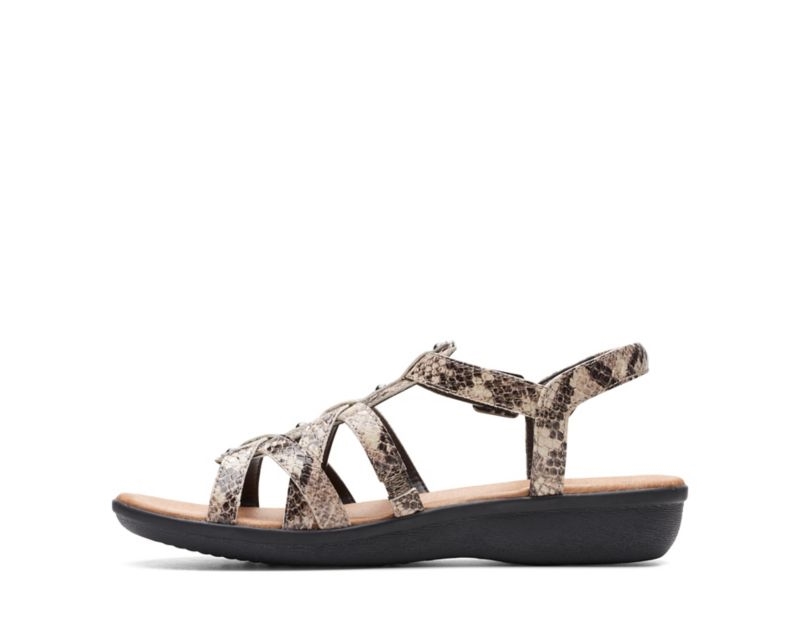 Clarks Manilla Bonita Flat Sandals Beige Snake Women - India P3V5253-J5
