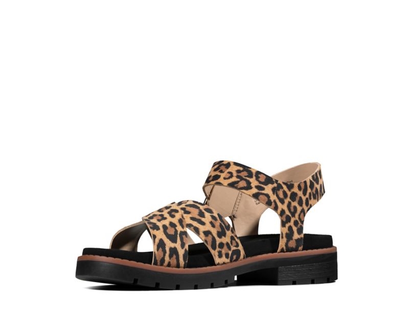 Clarks Orinoco Strap Flat Sandals Leopard Women - India Q3I5555-K8