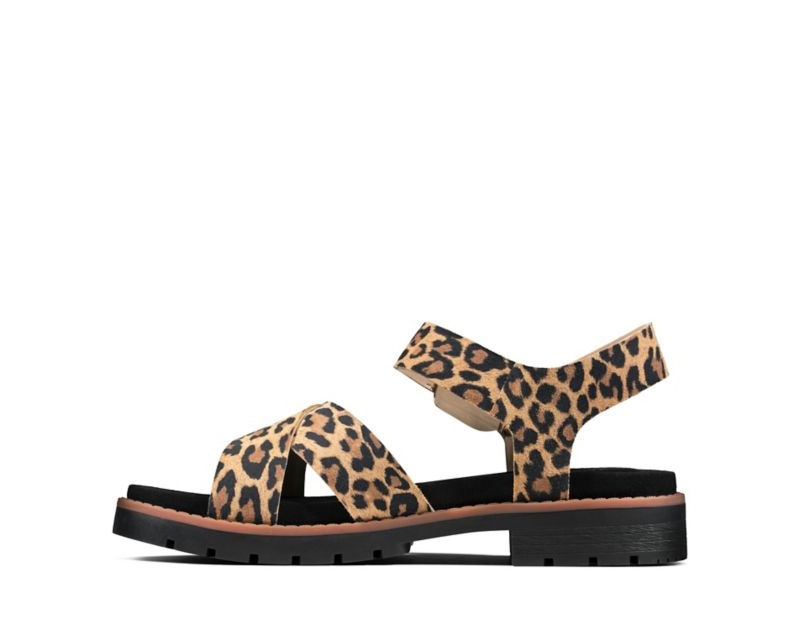 Clarks Orinoco Strap Flat Sandals Leopard Women - India Q3I5555-K8
